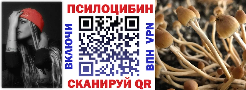 Псилоцибиновые грибы мухоморы  где купить наркоту  KRAKEN маркетплейс  Куртамыш 
